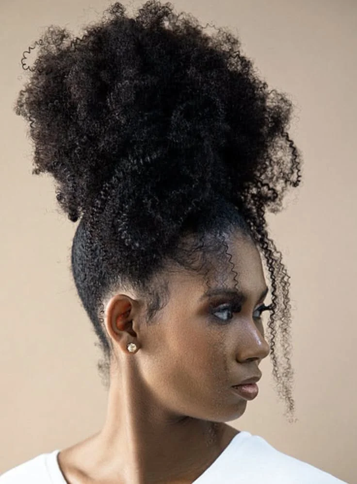 Chic High Puff