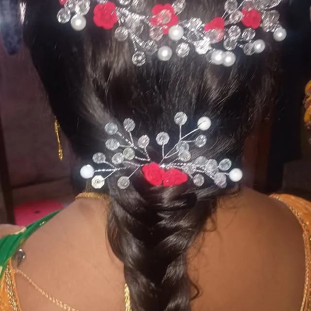 Dark braid adorned with crystal hairpieces and small red roses.